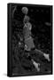 Michael Jordan - Black and White-Trends International-Framed Poster