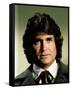 Michael Landon-null-Framed Stretched Canvas