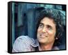 Michael Landon-null-Framed Stretched Canvas