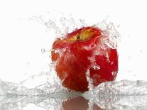 One Whole and One Halved Tomato with Drops of Water-Michael Löffler-Photographic Print