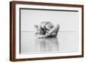Brown Frame