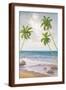 Brown Frame