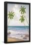 Essential Black