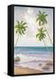 Canvas Black