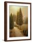 Brown Frame