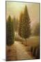 Wood Mount