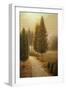 White Frame