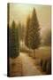 Stretched Canvas