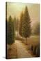 Stretched Canvas