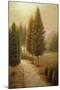 Wood Mount