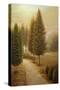 Stretched Canvas