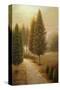 Stretched Canvas