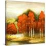Stretched Canvas
