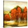 Stretched Canvas