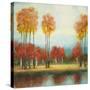 Stretched Canvas