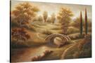 Stretched Canvas