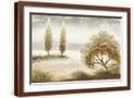 Brown Frame