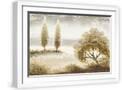 White Frame