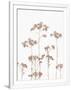 Gramercy White
