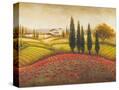Stretched Canvas