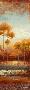 Laminate