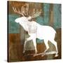 Stretched Canvas