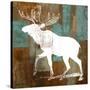 Stretched Canvas