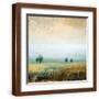 Brown Frame