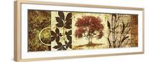Brown Frame