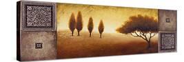 Stretched Canvas