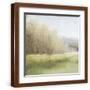 Brown Frame