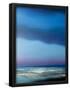 Essential Black