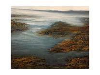California II: Fertile Ground-Michael Mote-Framed Stretched Canvas
