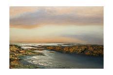 California II: Fertile Ground-Michael Mote-Framed Stretched Canvas