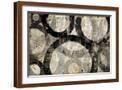 Brown Frame