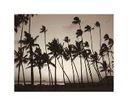 Platinum Palms I-Michael Neubauer-Giclee Print