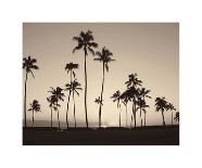 Platinum Palms I-Michael Neubauer-Giclee Print