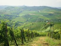 Vineyards and Ancient Monastery, Badia a Passignano, Greve, Chianti Classico, Tuscany, Italy-Michael Newton-Photographic Print