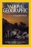 Cover of the March, 2001 National Geographic Magazine-Michael Nichols-Stretched Canvas