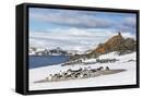 Framed Canvas