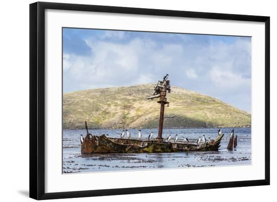 Photographic Print, , large