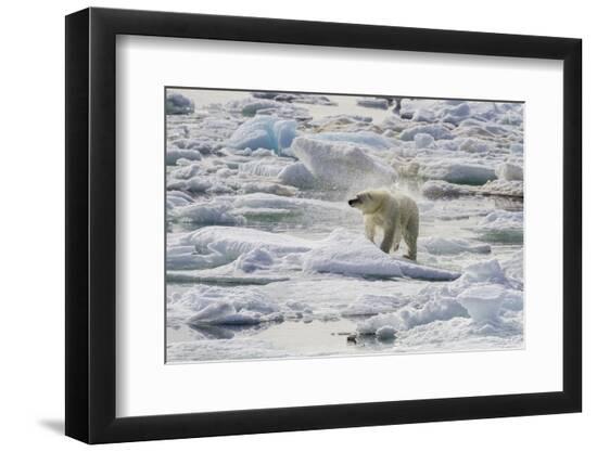Premium Photographic Print, , large