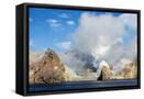 Framed Canvas