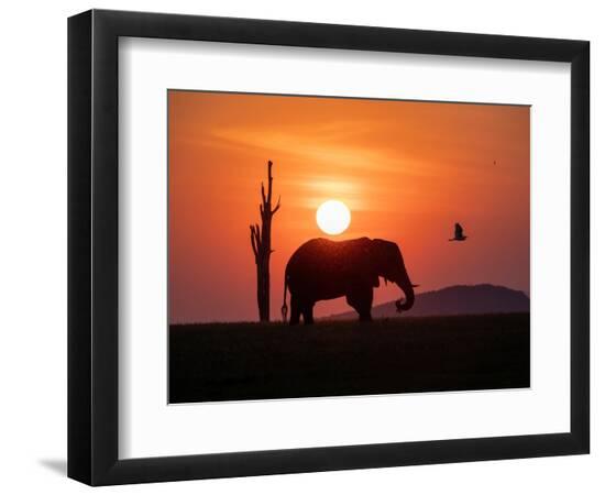 Photographic Print, , large