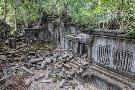 Just the Print