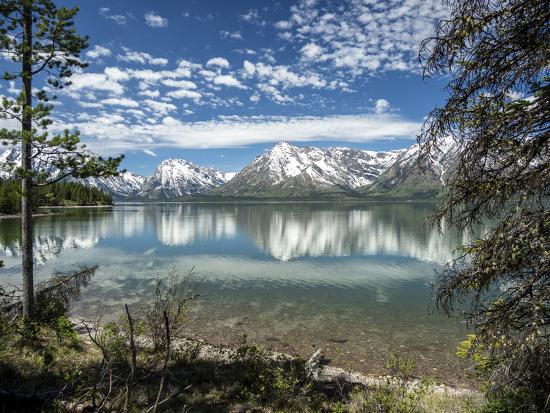 Premium Photographic Print, , large