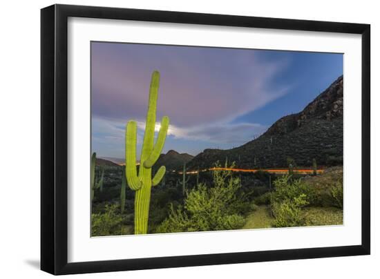 Premium Photographic Print, , large