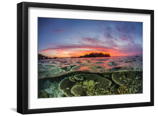 Premium Photographic Print, , large