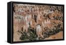 Framed Canvas