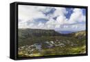 Framed Canvas